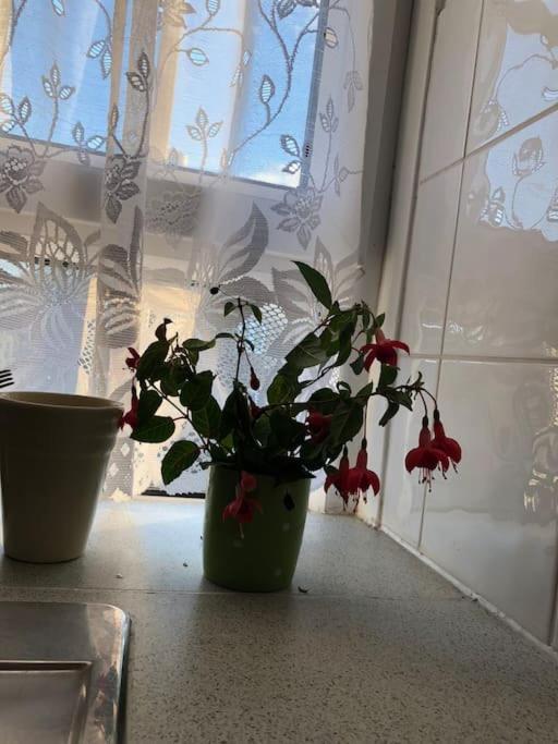 Carpe Diem Rooms Flat Near Zone 1 런던 외부 사진